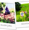 Quad rijden & shooting games